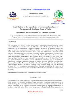 Contribution to the knowledge of ornamental molluscs