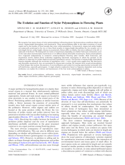 The Evolution and Function of Stylar