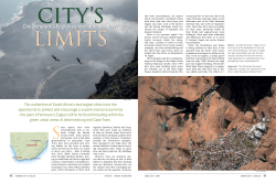 Can Verreaux`s Eagles survive urbanisation?
