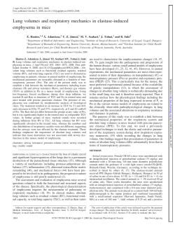 Lung volumes and respiratory mechanics in elastase