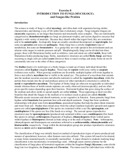 Introduction to Fungi