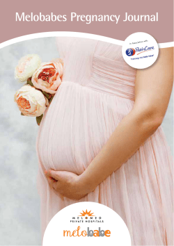 Melobabes Pregnancy Journal