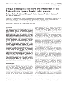 Unique quadruplex structure and interaction of an RNA aptamer