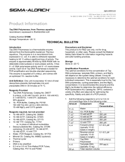 Thermus aquaticus DNA polymerase