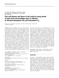 Fine-root biomass and fluxes of soil carbon in young stands of paper
