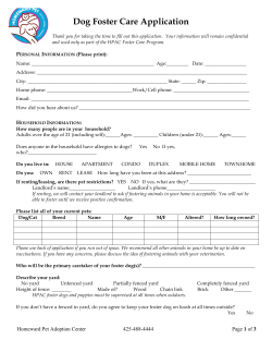 Dog Foster Application