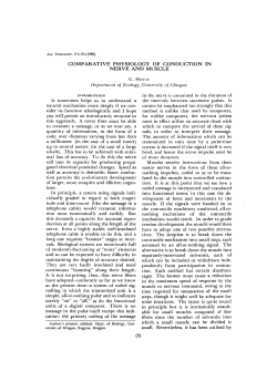comparative physiology of conduction in nerve and muscle