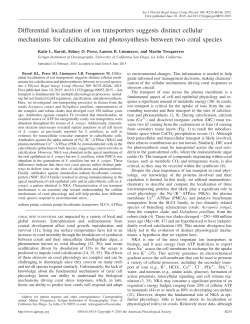 Differential localization of ion transporters suggests distinct cellular