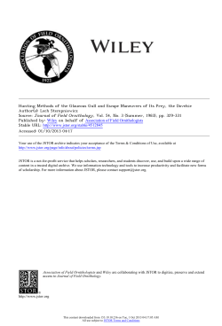 Hunting Methods of the Glaucous Gull and Escape Maneuvers of Its