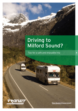 Driving to Milford Sound?