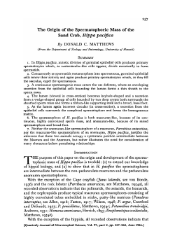 The Origin of the Spermatophoric Mass of the Sand Crab, Hippa