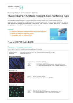 Fluoro-KEEPER Antifade Reagent, Non