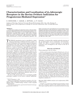 Adrenergic Receptors in the Bovine Oviduct: Indication for