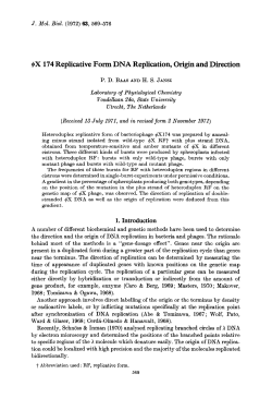 $X 174 Replicative Form DNA Replication, Origin and Direction