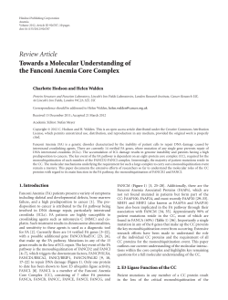 Towards a Molecular Understanding of the Fanconi Anemia Core
