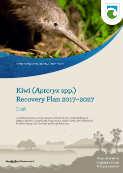 Draft Kiwi Recovery Plan 2017-2027