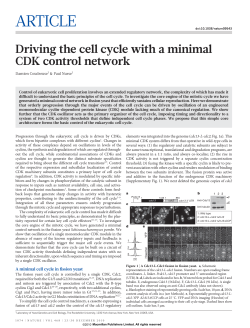 Driving the cell cycle with a minimal CDK control