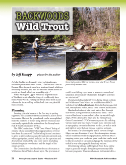 Backwoods Wild Trout - Fish and Boat Commission