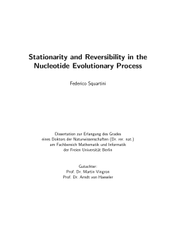 Stationarity and Reversibility in the Nucleotide Evolutionary Process
