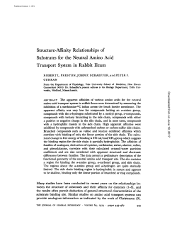 Structure-Affinity Relationships of Substrates for the Neutral Amino