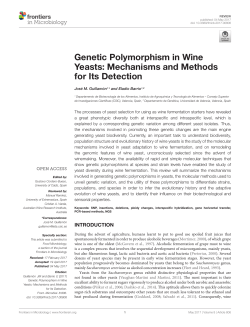 Genetic Polymorphism in Wine Yeasts: Mechanisms and Methods