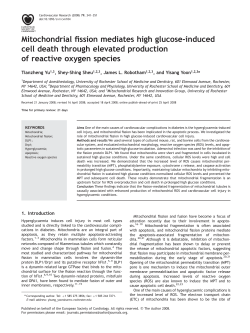Mitochondrial fission mediates high glucose