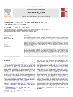 here - Dairy Cattle Hoof Health