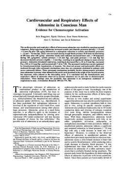 Cardiovascular and Respiratory Effects of Adenosine in Conscious