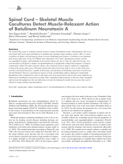 Spinal Cord – Skeletal Muscle Cocultures Detect Muscle