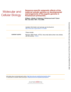 Paramecium primaurelia. rearrangements of the