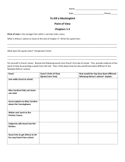 To Kill a Mockingbird Point of View Chapters 1-3
