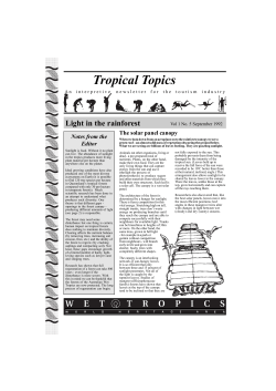 05Light In Rainforest - Wet Tropics Management Authority