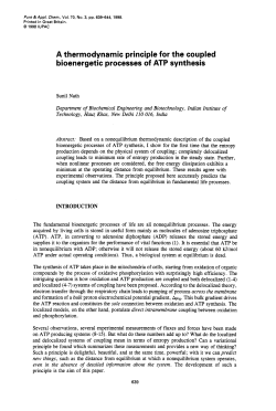 as a PDF