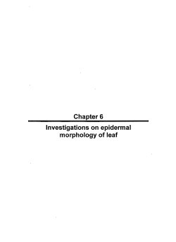 Chapter 6 Investigations on epidermal morphology of leaf