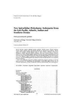 New Spirorbidae (Polychaeta: Sedentaria) from the East Pacific