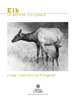 Elk in British Columbia - Ministry of Environment