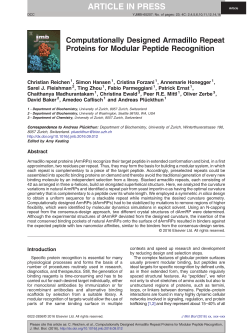 Computationally Designed Armadillo Repeat Proteins for Modular