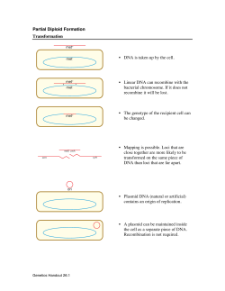 Partial Diploid Formation Transformation &bull; DNA is taken up by the