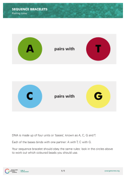 A T C G - Your Genome