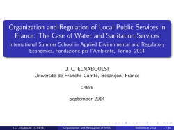 Organization and Regulation of Local Public Services in France: The