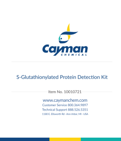 S-Glutathionylated Protein Detection Kit