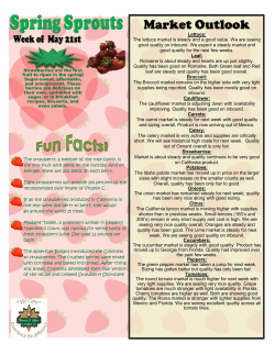 Market Outlook - Thomas O. Miller