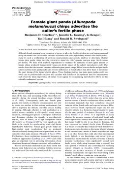 Female giant panda - Proceedings of the Royal Society B