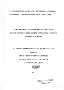 Clinical, radiographic and pathological features of