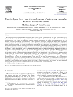 Electric dipole theory and thermodynamics of actomyosin molecular