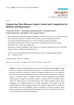 Engineering Plant Biomass Lignin Content and Composition for