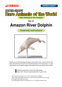 Amazon River Dolphin - Yamaha Motor Global