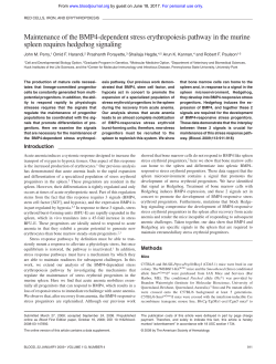 Maintenance of the BMP4-dependent stress