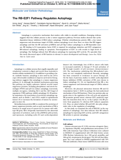 The RB-E2F1 Pathway Regulates Autophagy