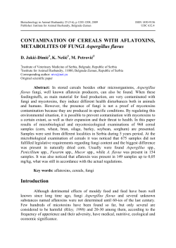 CONTAMINATION OF CEREALS WITH AFLATOXINS